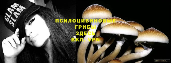 не бодяженный Новозыбков