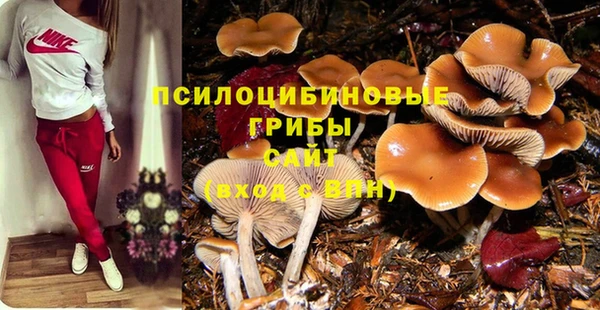 наркотики Алексин