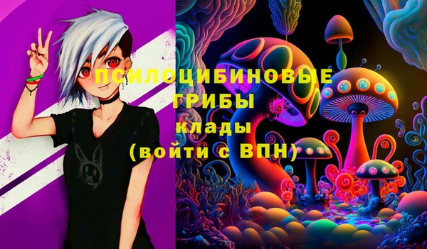 кокс Новодвинск